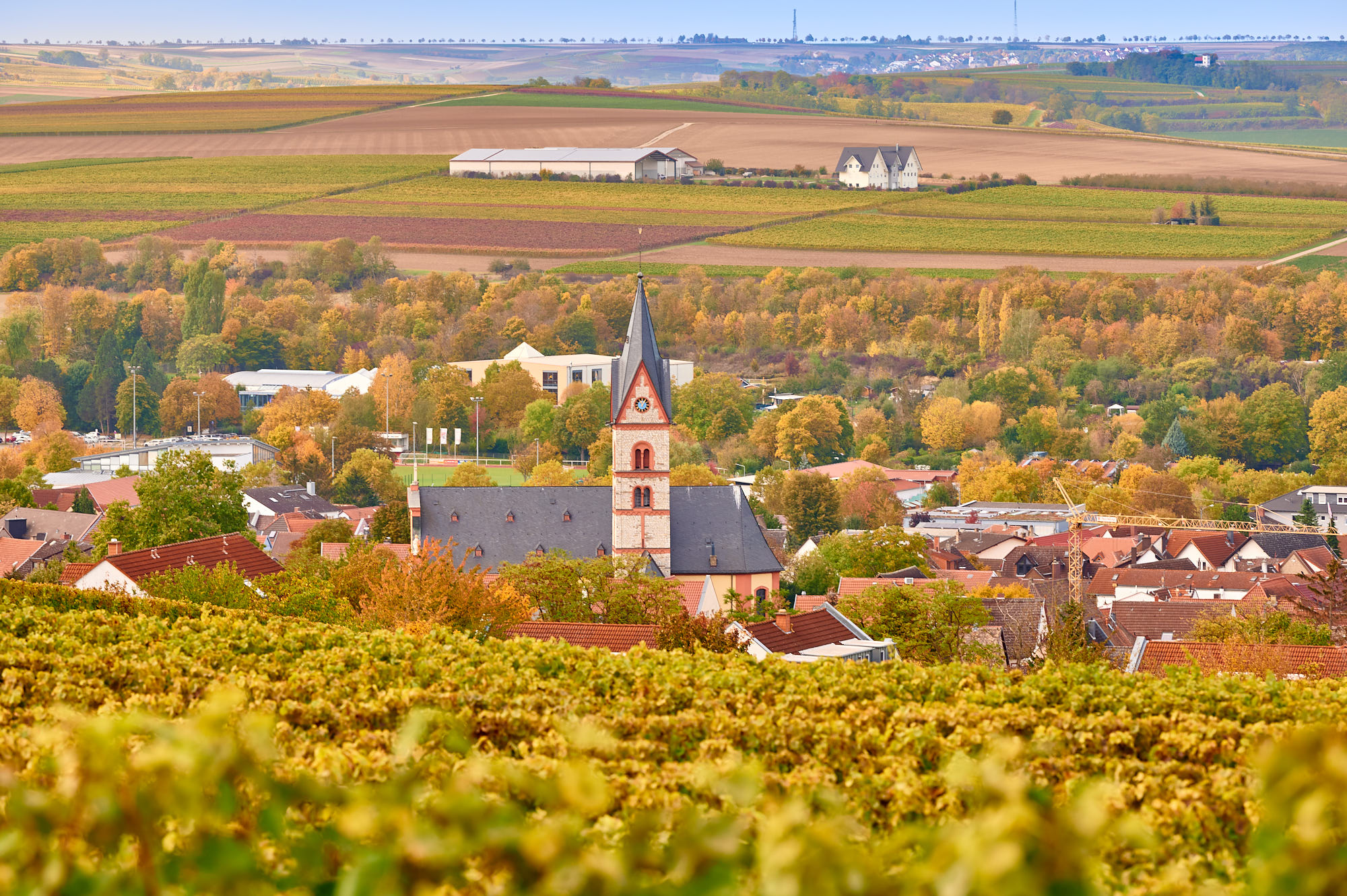Weinberge in Nieder-Olm