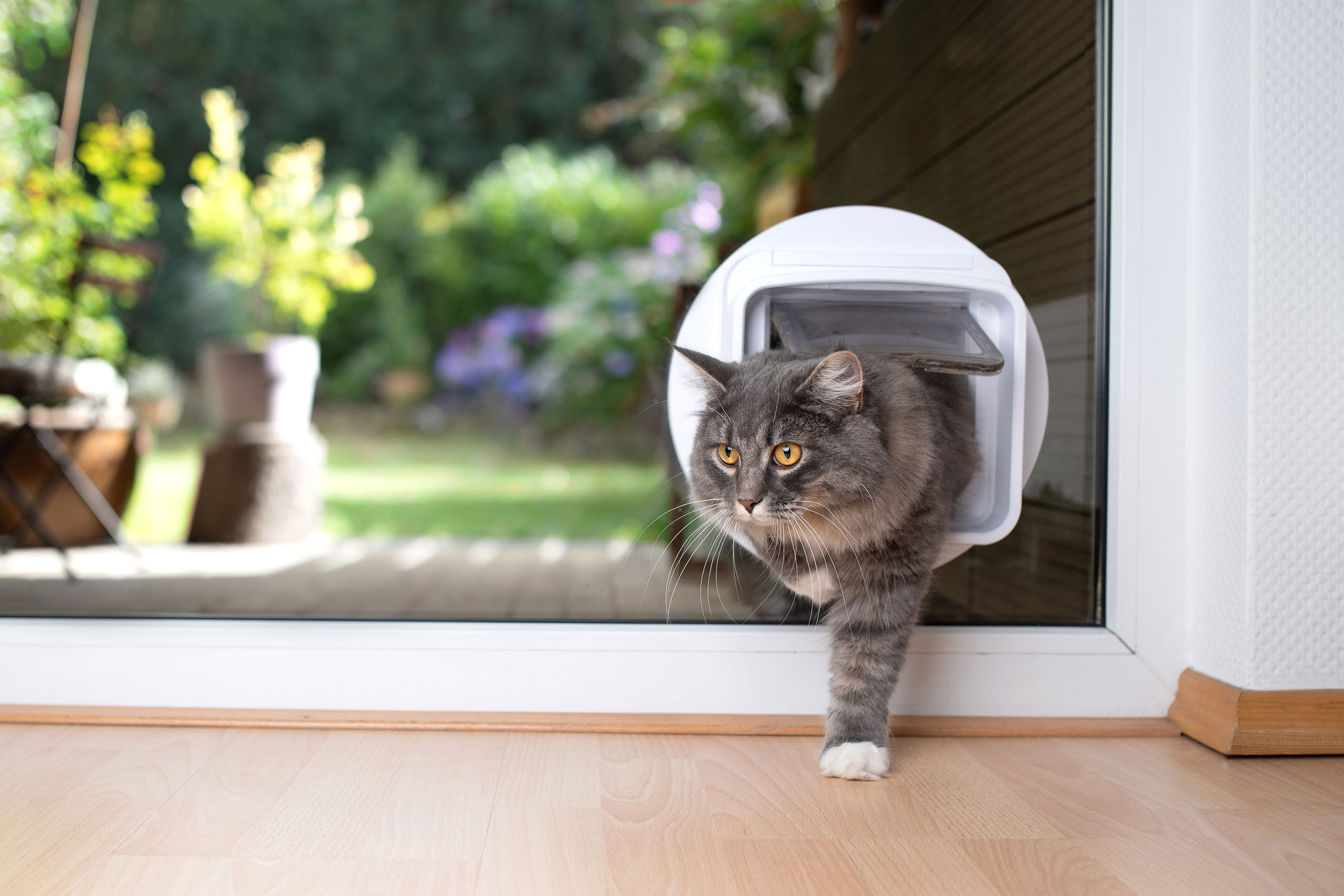 Katzenklappen-Einbau
