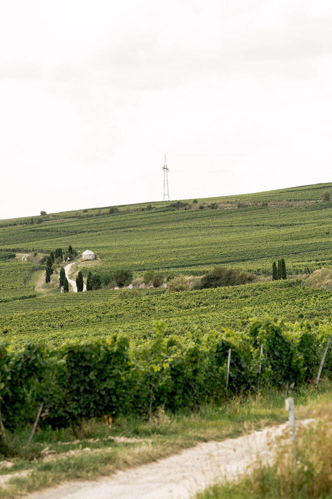 Weedenborn – Fertigung
