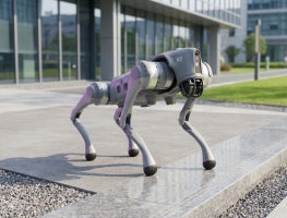 Roboterhunde für Inspektion & Outdoor