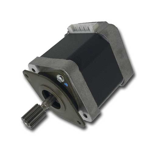 Ritzel mit Dämpfer