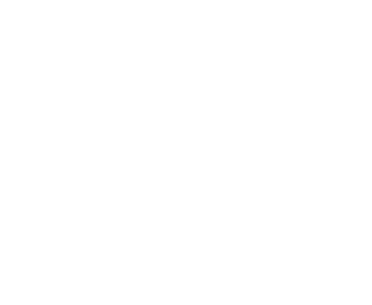 DINSE Logo