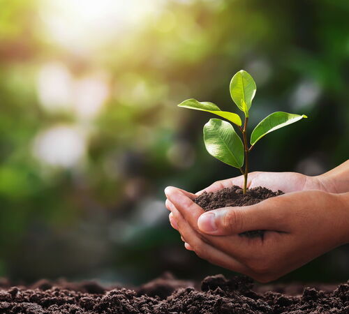 Recycling und Aufbereitung