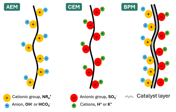 Anwendungsgebiete der Membranplattform