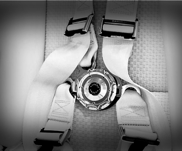 Sicherheitsgurt Re-Webbing & Overhaul