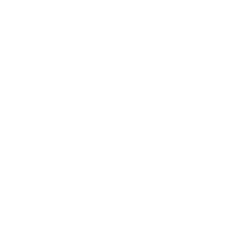 Premium-Kamera