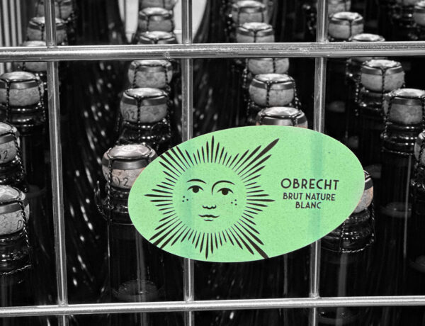 Impressions of the winery