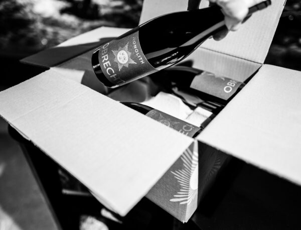 Impressions of the winery