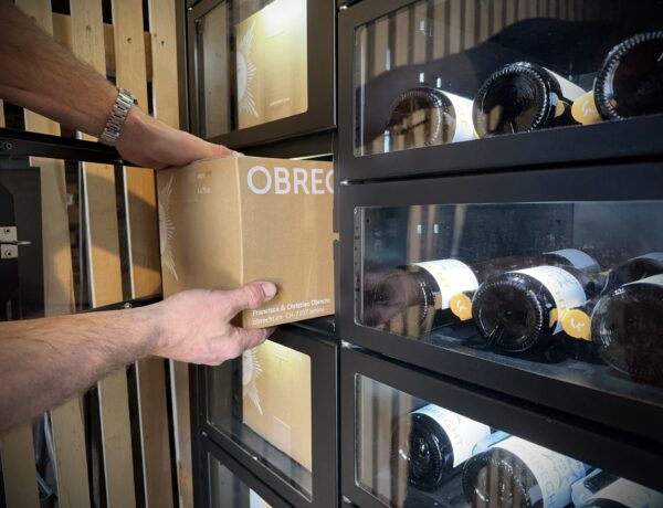Impressions of the winery