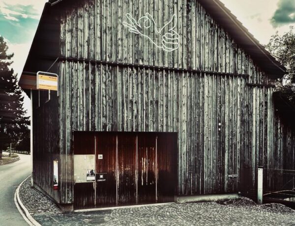 Impressions of the winery