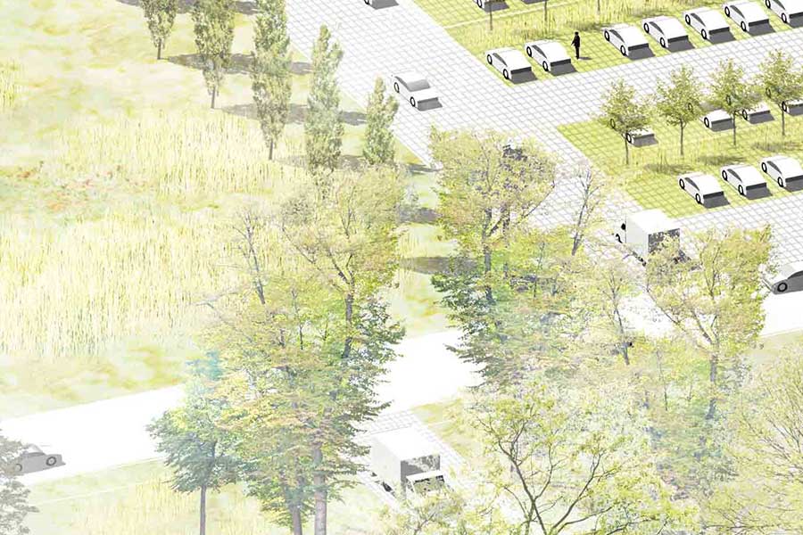 Schwimmende Wurzelbrücke – Baumschutz mit TTE®