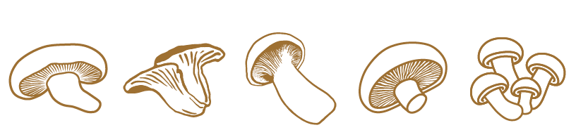Fine Funghi – Fertigung