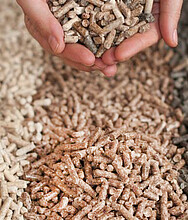 Holzpellets – Pelletindustrie