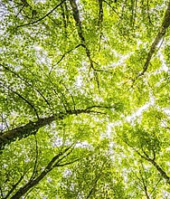 Trockner für Renewable Fuels