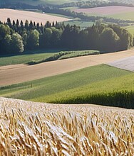 Trocknungsanlage für die Agrarwirtschaft