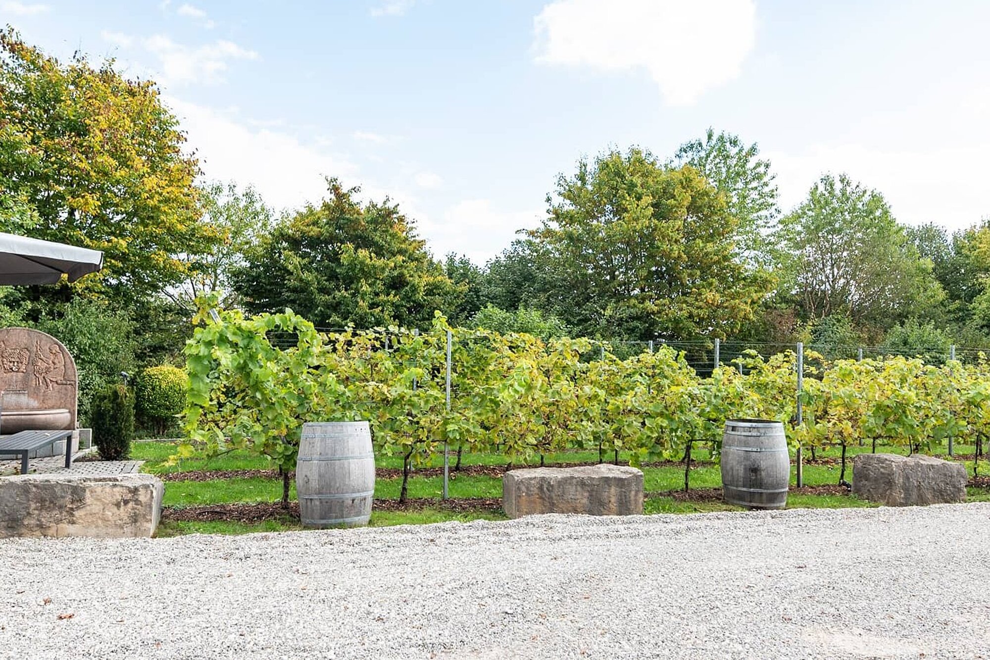 Sekt und Secco der Weinkellerei Kunzmann
