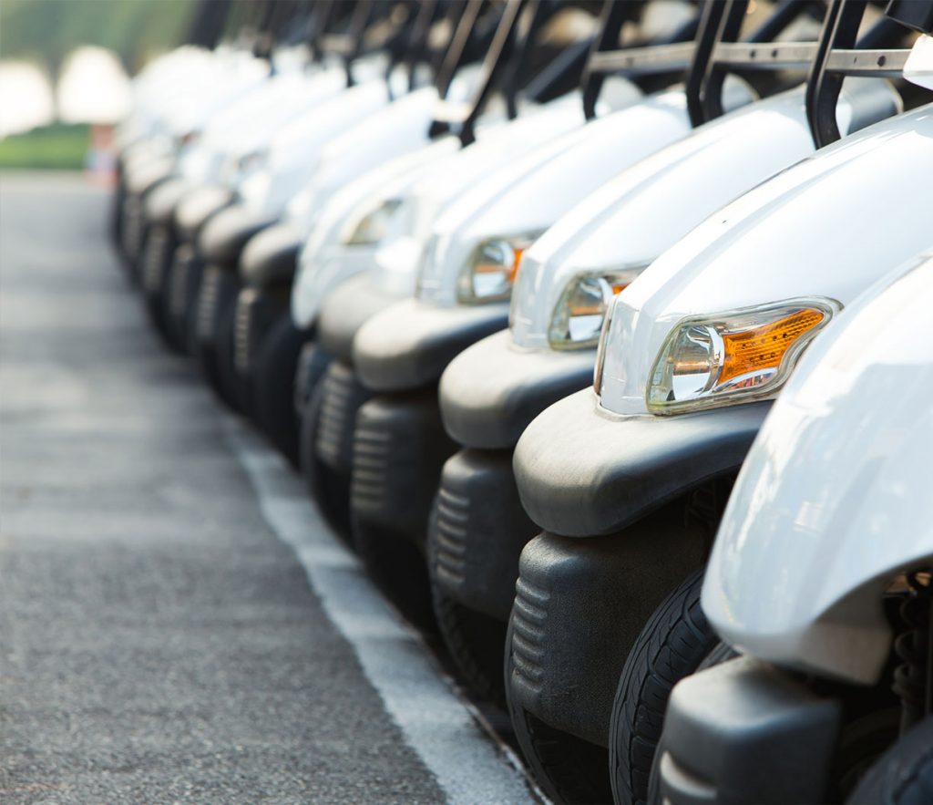 Golfcart-Batterien VPL-Serie