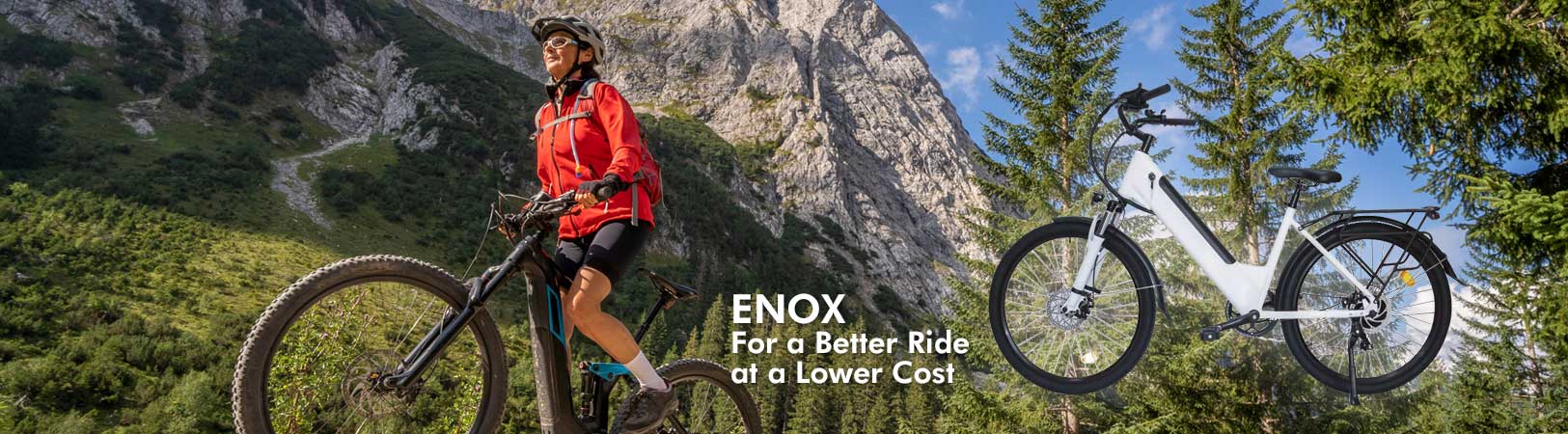 E-Bike EBE50