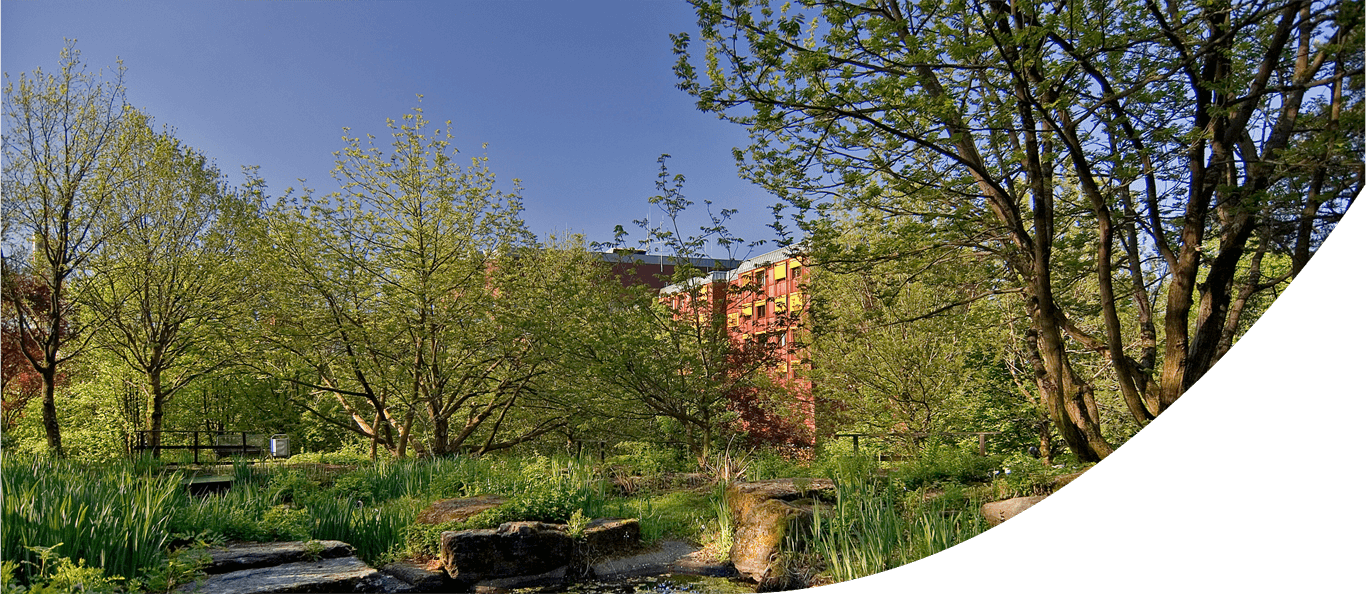 Klinikum Oberberg