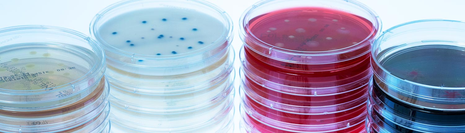 Hygiene und Mikrobiologie