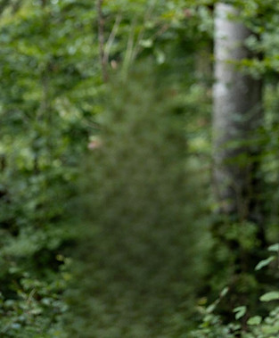 Wanderwegplanung