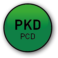 PKD – polykristalliner Diamant