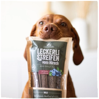 Hundefutter (Nassfutter, Trockenfutter, Snacks)