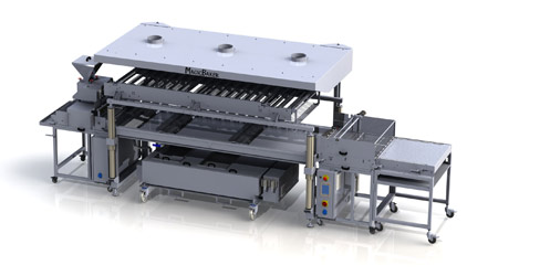 Siedebackanlage MULTILINE