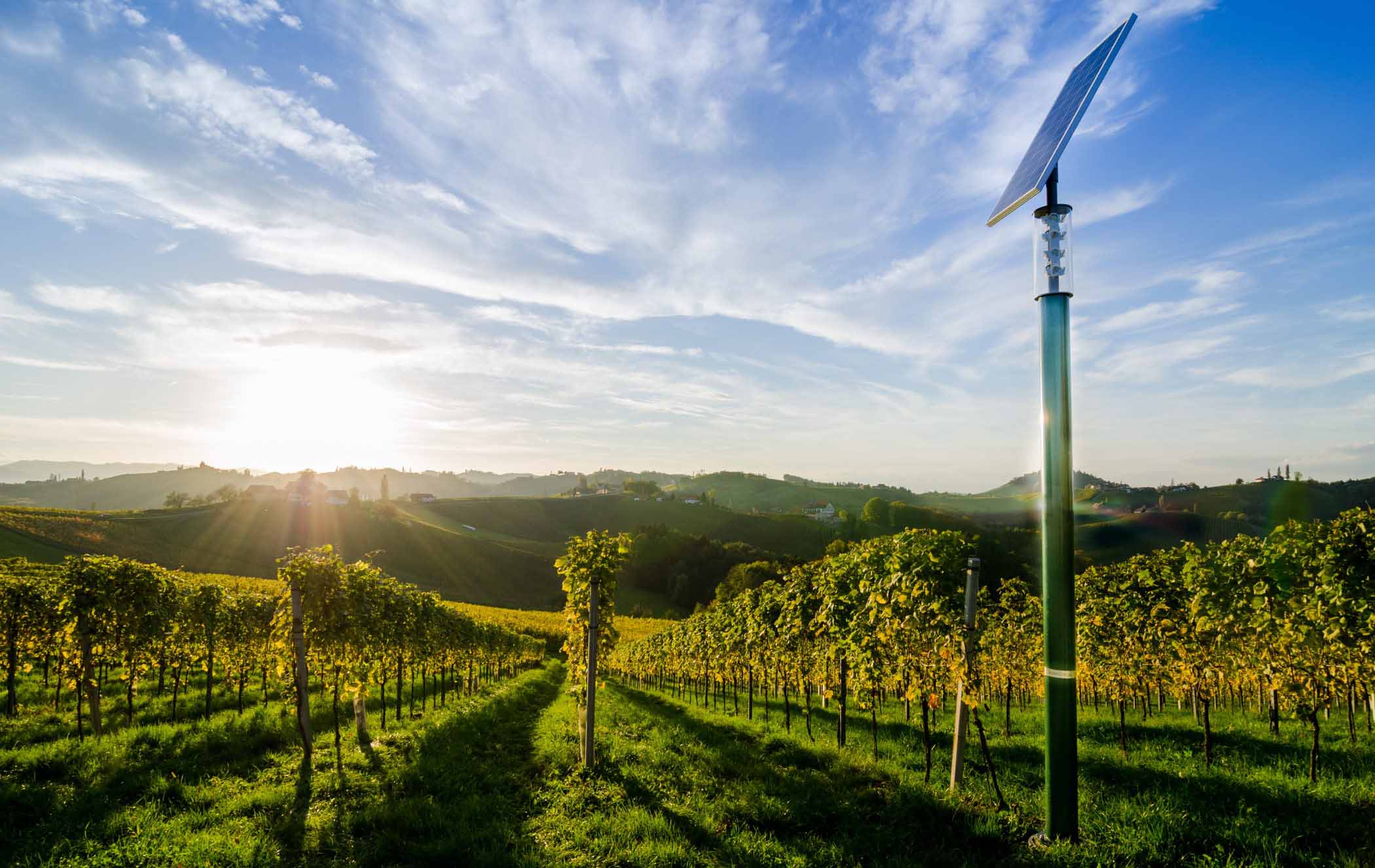 ecoliGhts – Fertigung