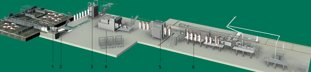 Schweineschlachtungsanlage (Gesamtplan)