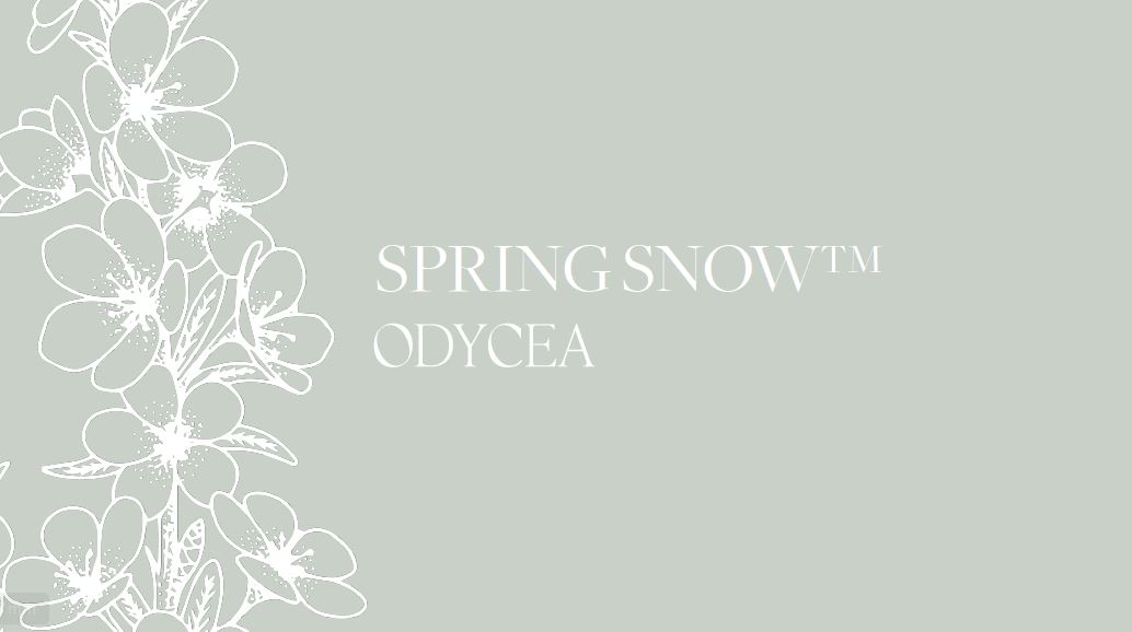 ODYCEA Spring Snow – Exposom-Schutz