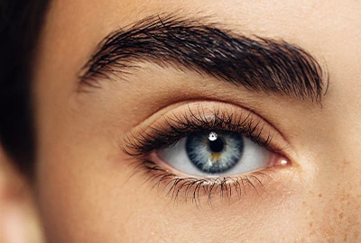 Brows: Liquid & Powdery Brow Pencil