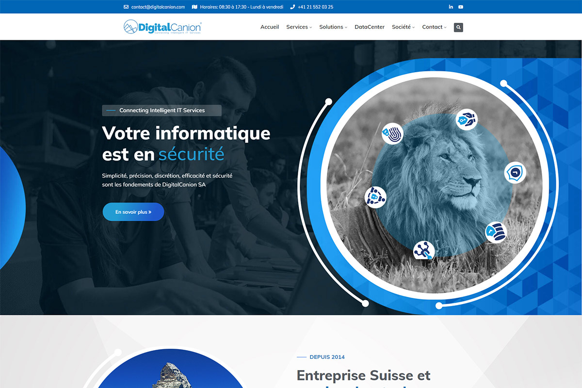 Web-Referenz DigitalCanion.com