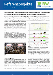 Analyse selbsterregter Schwingungen in Feuerungen