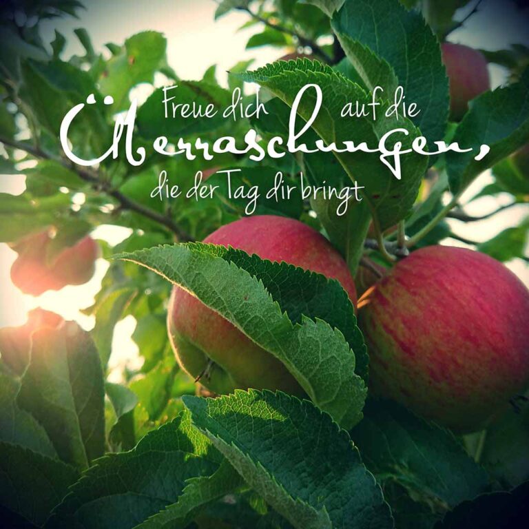 Obst aus dem Alten Land
