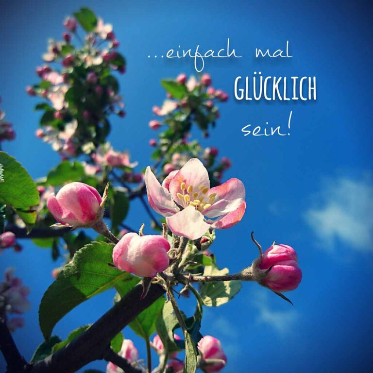 Obsthof im Alten Land