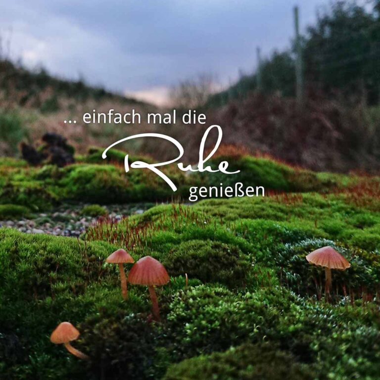 Verpacktes Kernobst