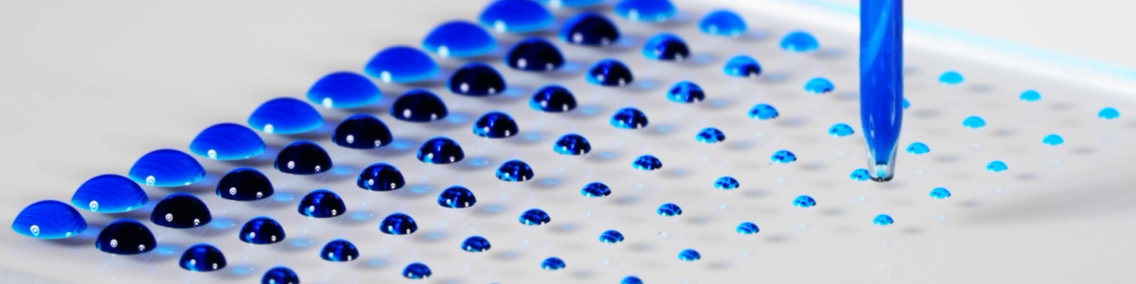 Microarray-Spots auf Glas-Slide
