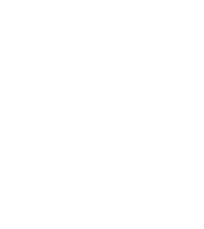 MAINSTATION MST1
