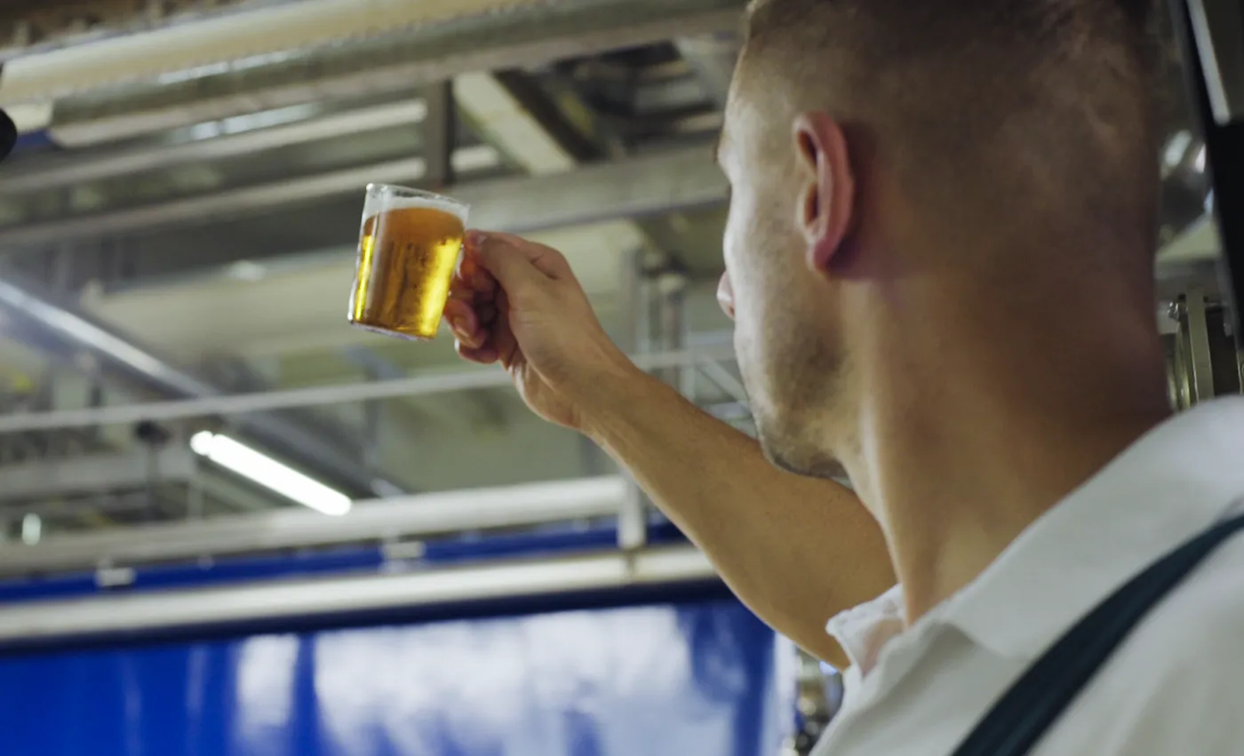 Brauprozess mit Malz, Hopfen, Hefe und Wasser