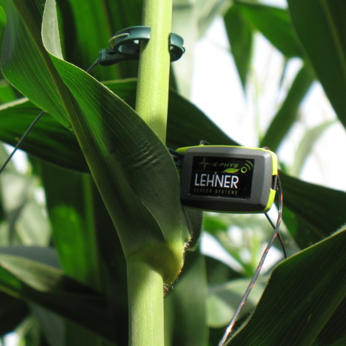 E-Plant – vernetzte Anlagensysteme