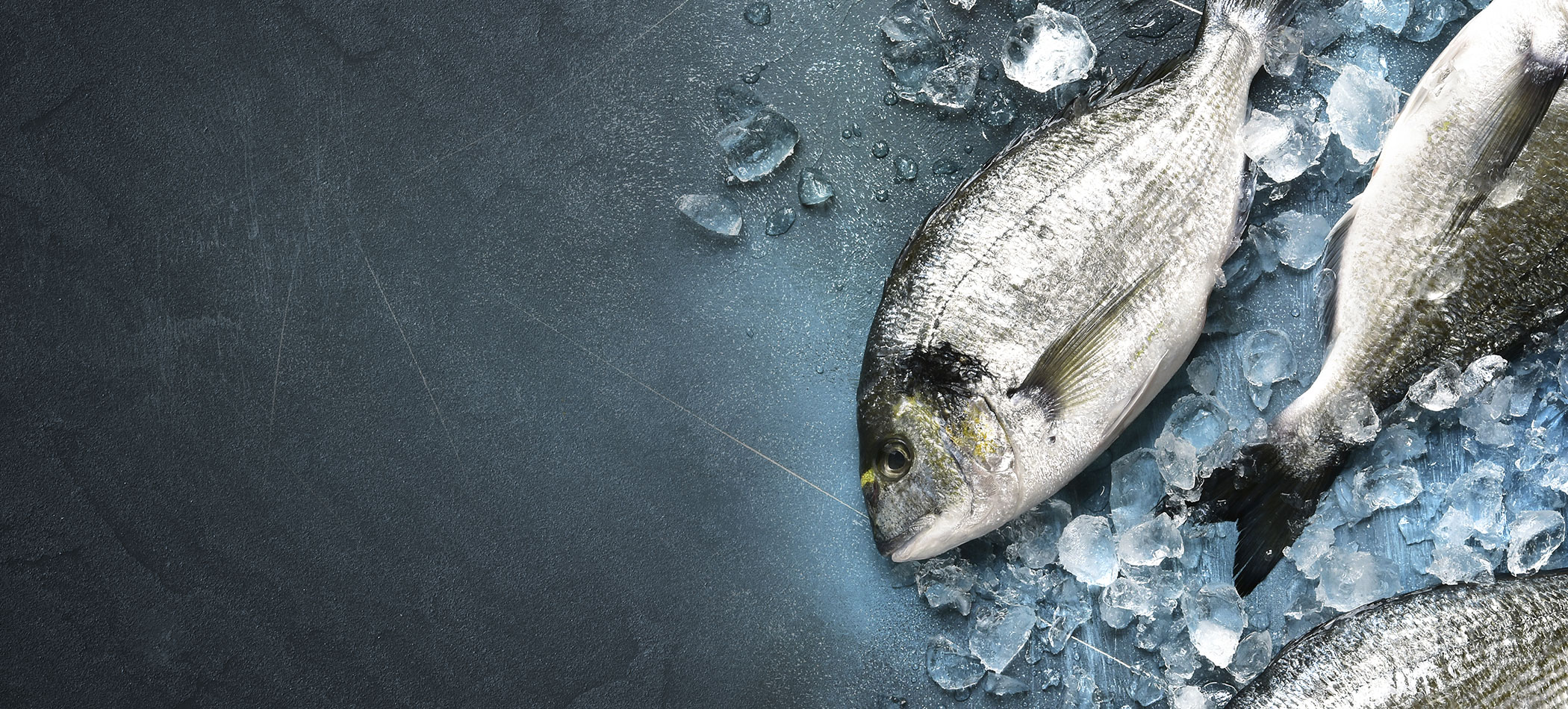 Fischspezialitäten