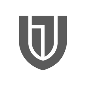 VEITH IT Logo