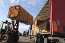 Holzlagern und Sortiment
