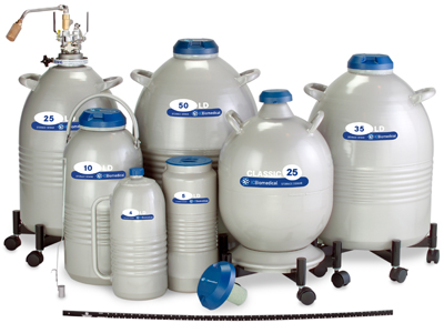 Liquid nitrogen Dewar