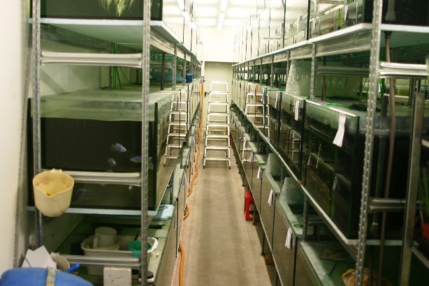 Aquarienanlage