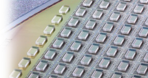 Sealed Optical Sensors