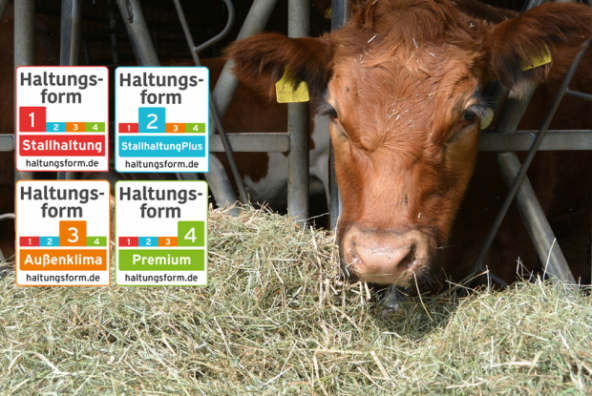 Haltungsform-Kennzeichnung