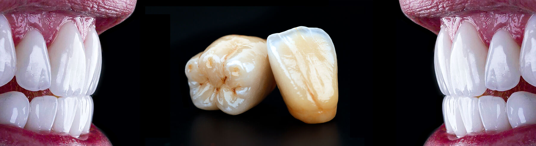 CADfirst Dental Materialportfolio