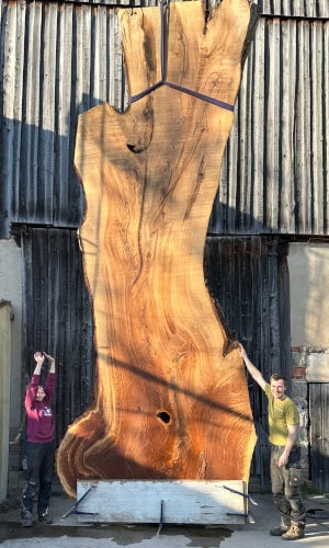 XXL-Baumstammtischplatte aus Eiche